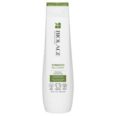 Šampūns Matrix Biolage Strength Recovery, 250 ml cena un informācija | Šampūni | 220.lv