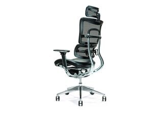 Офисное кресло Bemondi Ergo 800, черное цена и информация | Офисные кресла | 220.lv