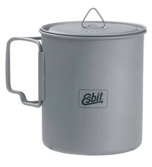 Tūrisma tējkanna Esbit Titanium Pot, pelēka, 750 ml cena un informācija | Ugunskura katli, trauki un galda piederumi  | 220.lv