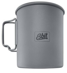 Tūrisma tējkanna Esbit Titanium Pot, pelēka, 750 ml cena un informācija | Ugunskura katli, trauki un galda piederumi  | 220.lv