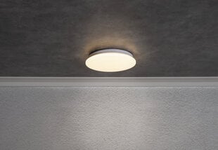 LED griestu lampa plafonveida &Oslash;26cm 12W 3000K 995lm 380-07 cena un informācija | Lustras | 220.lv