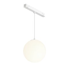 Kāpurķēžu piekaramā lampa TR039-2-5W4K-W-1 cena un informācija | Iebūvējamās lampas, LED paneļi | 220.lv