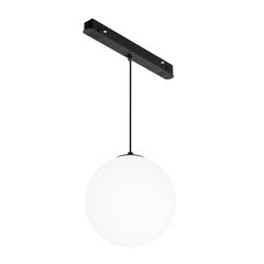 Kāpurķēžu piekaramā lampa TR039-4-5W3K-WW-DS-1 cena un informācija | Iebūvējamās lampas, LED paneļi | 220.lv