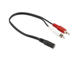 Pāreja 3.5mm - RCA цена и информация | Адаптеры и USB разветвители | 220.lv