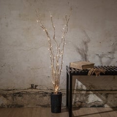 Decorative Twig Willow 584-03 цена и информация | Светодиодные ленты | 220.lv