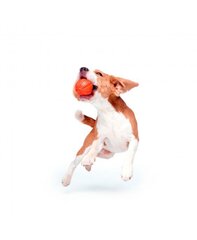 Rotaļu bumba suņiem Liker, 7 cm, oranža cena un informācija | Suņu rotaļlietas | 220.lv