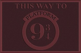 Harry Potter (This Way to Platform 9&¾) durvju paliktnis | 40x60cm cena un informācija | Datorspēļu suvenīri | 220.lv