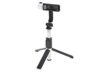 Selfie stick ar LED apgaismojumu Rivex cena un informācija | Selfie Sticks | 220.lv