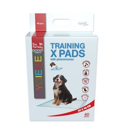 Впитывающие подушечки - Dog Fantasy X pets pads 60*90 (54*82см) 40шт цена и информация | Средства по уходу за животными | 220.lv