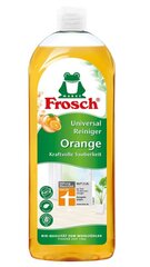 Frosch mazgāšanas līdzeklis, 750 ml cena un informācija | Tīrīšanas līdzekļi | 220.lv