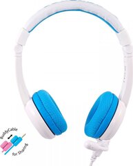 BuddyPhones BP-SCHOOLP Blue цена и информация | Наушники | 220.lv