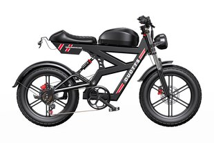 Elektriskais velosipēds Duotts ​​​​F20, 20", melns, 750W, 27Ah cena un informācija | Elektrovelosipēdi | 220.lv