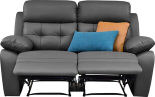 Двухместный диван Loft24 Lannilis, серый цена и информация | Диваны | 220.lv