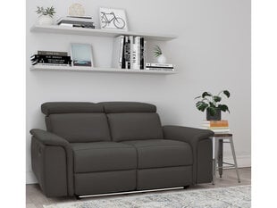 Двухместный диван Loft24 Pareli, коричневый цена и информация | Диваны | 220.lv
