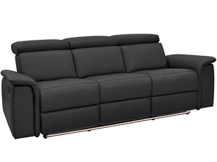 Трехместный диван Loft Pareli, черный цена и информация | Диваны | 220.lv