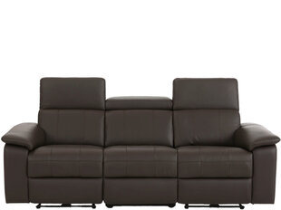 Trīsvietīgs dīvāns Loft Tanaro, brūns cena un informācija | Dīvāni | 220.lv