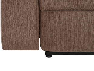 Trīsvietīgs dīvāns Loft Tanaro, brūns cena un informācija | Dīvāni | 220.lv