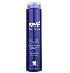 Yuup! Home Whitening and Brightening Shampoo - осветляющий шампунь для белых собак, для белой и светлой шерсти, 250 мл цена и информация | Косметические средства для животных | 220.lv