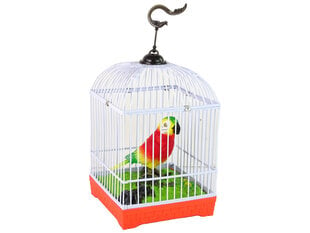 Dzied krāsains papagailis ar būri cena un informācija | Rotaļlietas meitenēm | 220.lv