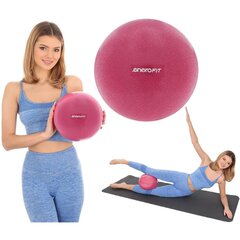 FITNESS PILATES Bumba 25cm PINK ENERO FIT cena un informācija | Spēka trenažieri | 220.lv