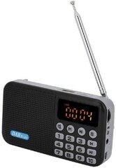 TOTMOX DAB/DAB+ digitālais un FM radio cena un informācija | Radioaparāti, modinātājpulksteņi | 220.lv