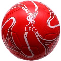 FOOTBALL FC LIVERPOOL Y5 cena un informācija | Futbola bumbas | 220.lv