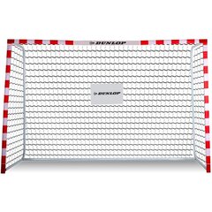 FUTBOLA VĀRTI AR TĪklu 300x200x110cm ALLROUND DUNLOP cena un informācija | Futbola bumbas | 220.lv