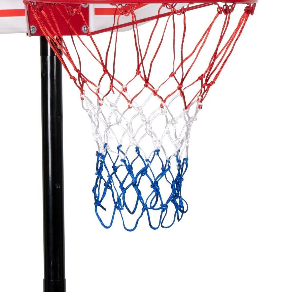 REGULĒJAMS BASKETBOLA KOMPLEKTS DUNLOP 1.65-2.05M cena un informācija | Basketbola bumbas | 220.lv