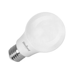Rebel LED spuldze a60 8,5w 6500k E27, 1gab. cena un informācija | Spuldzes | 220.lv