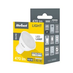 Rebel LED spuldze 5w gu10 4000k, 1gab. cena un informācija | Spuldzes | 220.lv