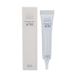 Pyunkang Yul ACNE Spot Cream 15ml cena un informācija | Sejas krēmi | 220.lv