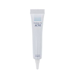 Pyunkang Yul ACNE Spot Cream 15ml cena un informācija | Sejas krēmi | 220.lv