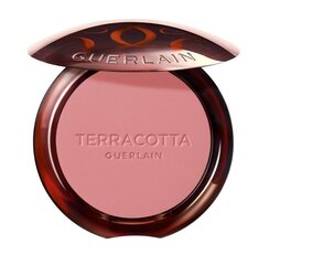 Sārtums Guerlain Gier Terracotta Pūderi, 24 Blush Rose, 5 g cena un informācija | Bronzeri, vaigu sārtumi | 220.lv