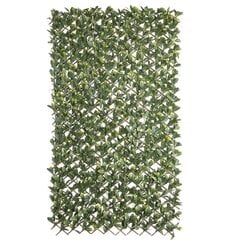 Целозия Natural Laurel плетеный Бамбук 2 x 200 x 100 cm цена и информация | Искусственные цветы | 220.lv