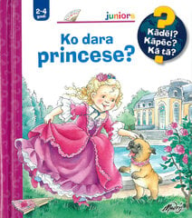 Ko dara princese? Kādēļ? Kāpēc? Kā tā? cena un informācija | Pasakas | 220.lv