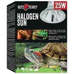 Нагревательная лампа для террариума : Repti Planet Bulb Halogen Spot 25W цена и информация | Товары для экзотических животных | 220.lv