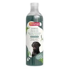 Шампунь для собак - Beaphar Black Coat Shampoo Dog, 250 мл цена и информация | Косметические средства для животных | 220.lv