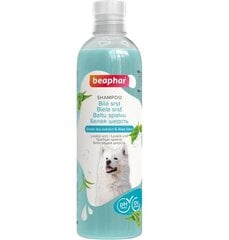 Šampūns suņiem Beaphar, 250ml cena un informācija | Kosmētiskie līdzekļi dzīvniekiem | 220.lv