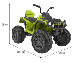 Bērnu elektriskais kvadracikls Quad ATV, zaļš cena un informācija | Bērnu elektroauto | 220.lv