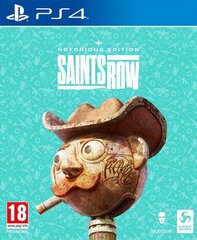 Saints Row Notorious Edition cena un informācija | Datorspēles | 220.lv