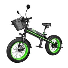 Elektriskais velosipēds Manta Fat Flinston 20", melns/zaļš цена и информация | Manta Спорт, досуг, туризм | 220.lv