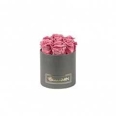 Stabilizētas rozes Blummin – Small dark grey box / Vintage Pink cena un informācija | Stabilizētās rozes, augi | 220.lv