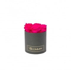 Stabilizētas rozes Blummin – Small dark grey box / Hot Pink cena un informācija | Stabilizētās rozes, augi | 220.lv