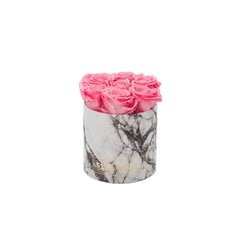 Спящие стабилизированные розы - Small white marble / Baby Pink цена и информация | Спящие стабилизированные розы, растения | 220.lv