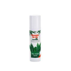 Bione Cosmetics Bio Cannabis 17 ml цена и информация | Помады, бальзамы, блеск для губ | 220.lv