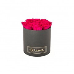 Stabilizētas rozes Blummin – Medium dark grey box / Hot Pink cena un informācija | Stabilizētās rozes, augi | 220.lv