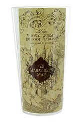 Harry Potter - Marauders Map Water Glass cena un informācija | Datorspēļu suvenīri | 220.lv