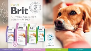 Brit Veterinary Diets Ultra Hypoallergenic 2кг при дерматологических и пищеварительных проблемах цена и информация | Сухой корм для собак | 220.lv