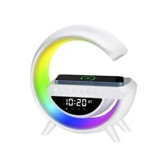 RGB LED Беспроводная звуковая колонка, беспроводное зарядное устройство, радио BT-3401 цена и информация | Аудиоколонки | 220.lv