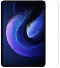 Rūdīts stikls XIAOMI MI PAD 6 / 6 PRO 11" cena un informācija | Citi aksesuāri planšetēm un e-grāmatām | 220.lv